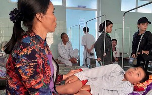 Cô giáo cho học sinh tát bạn ở Quảng Bình bị tạm đình chỉ công tác