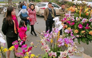 Thủ tướng chỉ thị bảo đảm đón Tết Nguyên đán vui tươi, an toàn, tiết kiệm