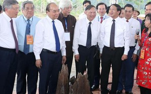 Thủ tướng dự khởi công Dự án khu bảo tồn bãi cọc Cao Qùy (Hải Phòng)