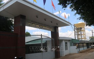 Tích cực xử lý vụ học viên Cơ sở Cai nghiện ma túy Tiền Giang xô xát và bỏ trốn