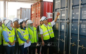 Phát hiện 110 container chứa chất thải độc hại cập cảng Malaysia