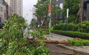 Bão số 2 suy yếu thành áp thấp nhiệt đới và đi vào các tỉnh Ninh Bình, Thanh Hóa