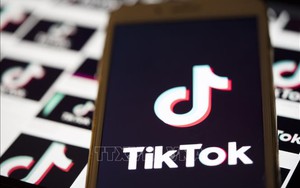 Twitter tham gia thương vụ thâu tóm hoạt động của TikTok tại Mỹ