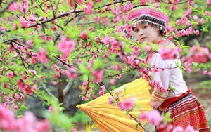 Từ đêm 15/2 đến ngày 24/2, không khí lạnh gây mưa ở Bắc Bộ; Trung Bộ, Nam Bộ nhiệt độ giảm