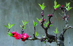 Tản văn cuối năm: Tìm kiếm sự cân bằng