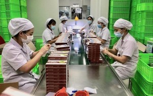 Hiệu quả từ các vùng xanh doanh nghiệp tại Thủ đô Hà Nội