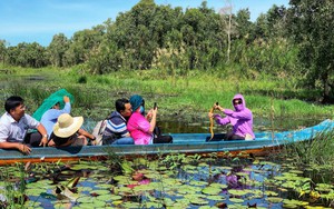 Du lịch Cà Mau: Biến lợi thế sẵn có thành 'thỏi nam châm' hút khách du lịch