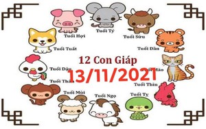 Dự đoán 12 con giáp hôm nay 13/11/2021: Tuổi Sửu, Dậu tài lộc sa sút, áp lực tăng cao