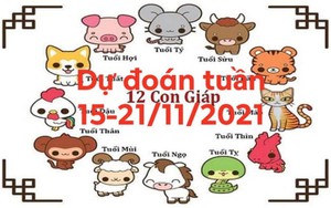 Dự đoán 12 con giáp tuần (15 - 21/11/2021): Tý, Hợi, Dần, Tỵ tài lộc vượng phát