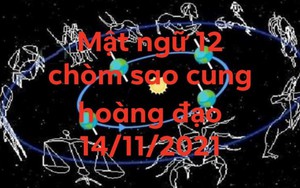 Mật ngữ 12 cung hoàng đạo ngày 14/11/2021: Bạch Dương, Bọ Cạp, Nhân Mã chớ nản lòng
