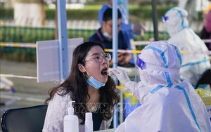 Cả nước có 5.595 ca mắc Covid-19 tại 49 tỉnh, thành phố