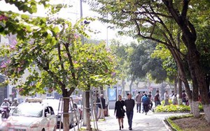 Thời tiết 8/4: Từ chiều nay Bắc Bộ tăng nhiệt, Trung Bộ có mưa