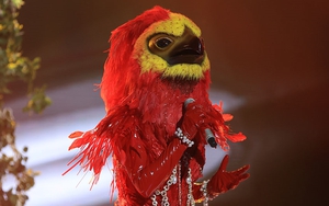 NTK mascot The Masked Singer lên tiếng về việc Phượng Hoàng Lửa rơi mặt nạ!