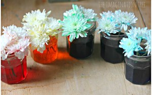 Hoa trắng cũng có thể nhuộm màu Ombre cực phong cách!