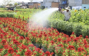 Cảm nhận miền Tây sông nước cùng YouTube Creators