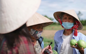 MV ‘Gửi vô Nam’ của Ánh Tuyết: Bà con nghèo góp nhặt từng bó rau, vài chục nghìn đồng