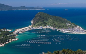 VIDEO: Có gì trên hòn đảo 'dành riêng cho đàn ông' vừa được công nhận Di sản Thế giới?