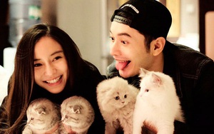 'Bắt chước' Luhan, Huỳnh Hiểu Minh tung chiêu nịnh vợ