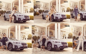 Lịch chiếu Asia's Next Top Model 2018