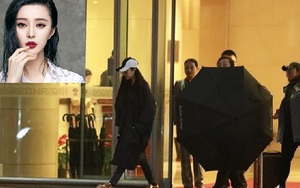 Phạm Băng Băng xuất hiện sau khi trả xong nợ, fan vẫn không ngừng 'ném đá'