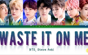 Tại sao dân mạng thất vọng trước hit tiếng Anh đầu tiên của BTS 'Waste It On Me'