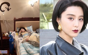 Phạm Băng Băng kiệt sức ho ra 'cả bát máu' hay 'chiêu trò' để trở lại?