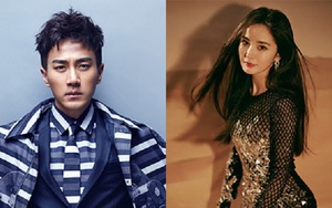 Hậu ly hôn, Dương Mịch ra đi với khối tài sản gấp 9 lần Lưu Khải Uy