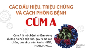 Các dấu hiệu, triệu chứng và cách phòng bệnh cúm A