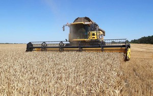 Nga tạo điều kiện cho xuất khẩu ngũ cốc từ Ukraine qua Biển Azov