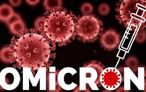 Kháng thể chống biến thể Omicron suy giảm sau khi tiêm mũi nhắc lại vaccine Covid-19