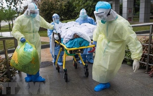 New Zealand ghi nhận tuần có số ca tử vong vì Covid-19 cao kỷ lục