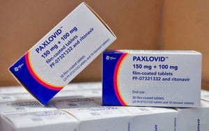 Đức cho phép sử dụng rộng rãi thuốc Paxlovid điều trị Covid-19