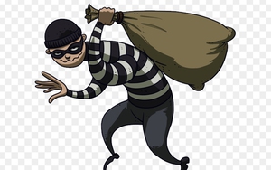 Bắt giữ băng cướp táo tợn, hoạt động liên quận