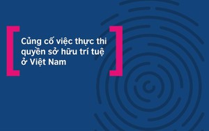 Củng cố việc thực thi quyền sở hữu trí tuệ về văn hóa và sáng tạo