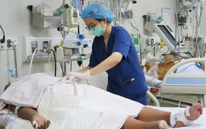 TP.HCM: 29 trường hợp tử vong do sốt xuất huyết