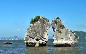 Hội nghị quốc tế 'Vai trò của nền kinh tế xanh trong bảo tồn Di sản Văn hóa và Thiên nhiên'