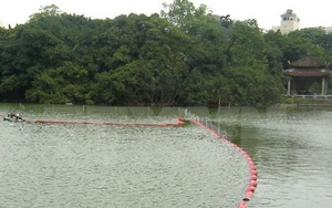 Cải tạo Hồ Gươm: không có chuyện thay thế, trồng lại cây xanh ven hồ