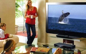 Dùng tivi, khách sạn phải trả tiền tác quyền âm nhạc - Đúng hay sai?