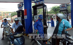 Giá xăng sẽ giảm mạnh trong hôm nay?