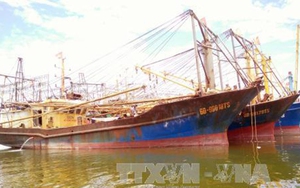 Thủ tướng giao Bộ Công an điều tra vụ tàu vỏ thép ở Bình Định