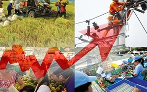 Thành lập Tổ Tư vấn kinh tế của Thủ tướng Chính phủ với 14 chuyên gia hàng đầu