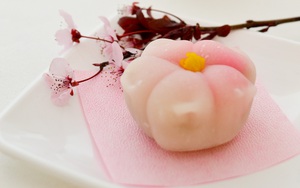 Tập làm gái đảm với bánh Mochi hoa đào hình giọt nước trong veo