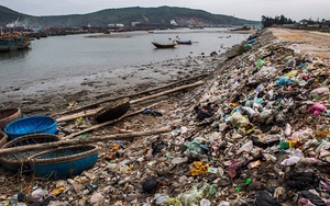 Thông tin hai chiều - Chìa khóa giúp phản ứng kịp thời trong bảo vệ môi trường