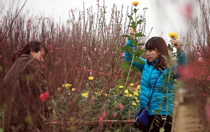 Thời tiết Tết Nguyên Đán 2018: Cập nhật thông tin mới nhất