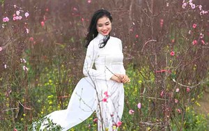 Thời tiết tết 2018: Liên tiếp không khí lạnh nhưng nhìn chung thuận lợi