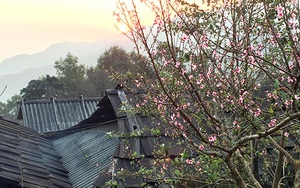 Dự báo thời tiết Tết nguyên đán 2018: Không khí lạnh đúng ngày 30 Tết