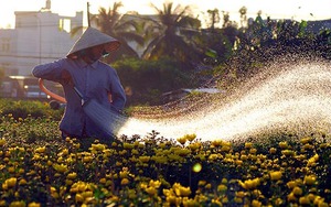 Thời tiết Tết Nguyên đán: Thời tiết từ 22 tháng Chạp đến ngày 5 Tết