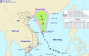 Tin mới nhất về áp thấp nhiệt đới gần bờ, khả năng mạnh lên thành bão số 2