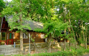 Đắm mình với thiên nhiên bốn mùa tại Đông Thế