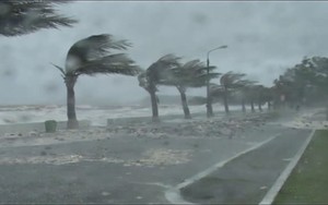 Chiều tối nay, bão đổ bộ đất liền, sức gió vùng tâm bão giật cấp 11